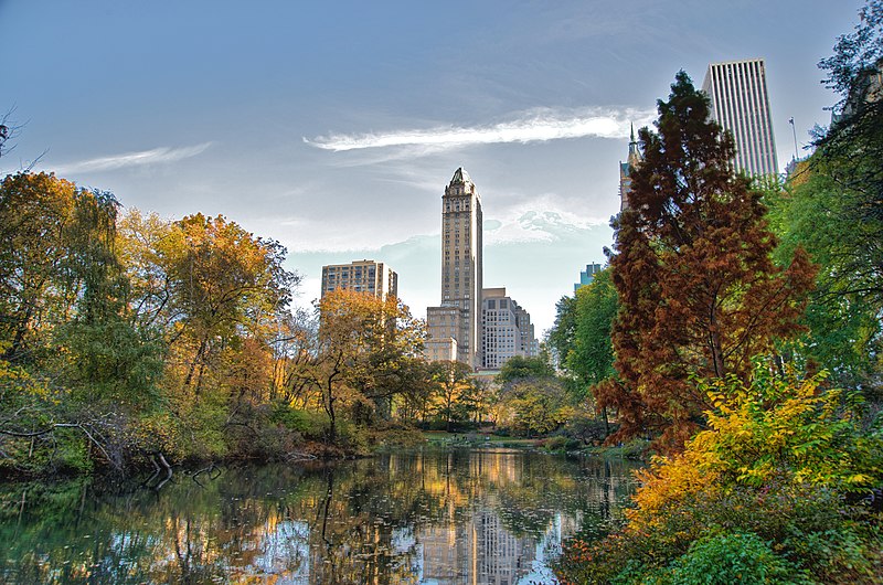 Visita los barrios de Nueva York